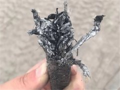 輪胎煉油設(shè)備常用配件之一石墨盤根質(zhì)量如何區(qū)分